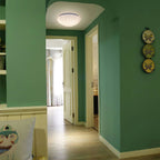 Modern Glass Flush Mount Ceiling Light