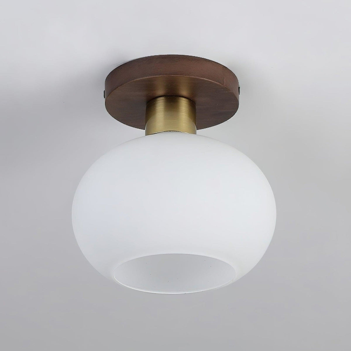 Modern Solid Wood Semi-Flush Ceiling Light for Living Room