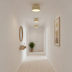 Modern Semi-Flush Ceiling Light for Living Room and Bedroom