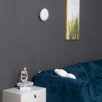 Modern Glass Wall Sconce With Warm Glass Shades