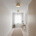 Modern Semi-Flush Ceiling Light for Living Room and Bedroom
