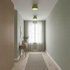 Modern Semi-Flush Ceiling Light for Living Room and Bedroom