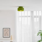 Modern Semi-Flush Ceiling Light for Living Room and Bedroom