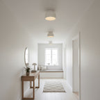 Modern Semi-Flush Ceiling Light for Living Room and Bedroom