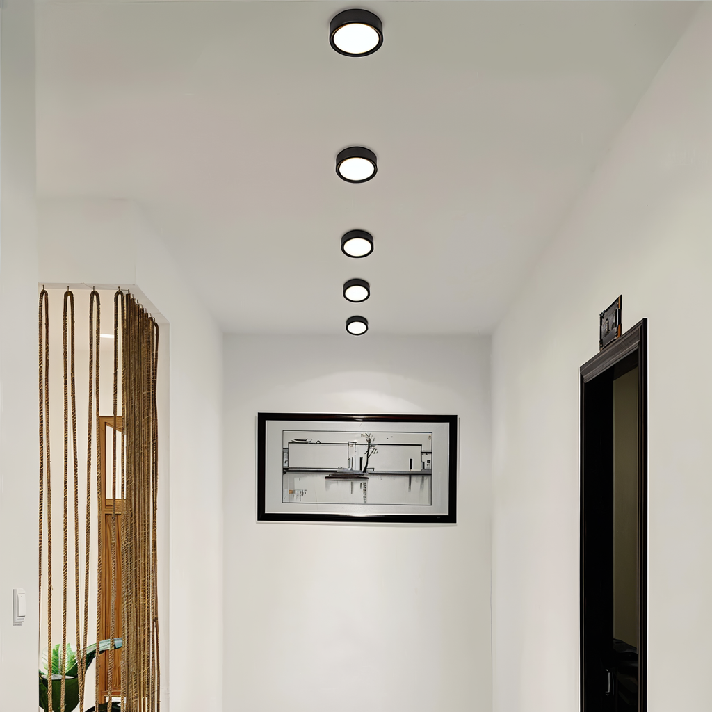 Modern Iron Flush Mount Ceiling Light