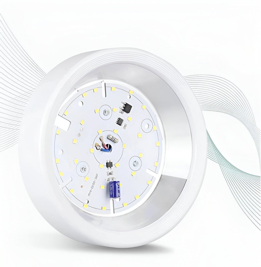 Modern Iron Flush Mount Ceiling Light