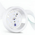Modern Iron Flush Mount Ceiling Light