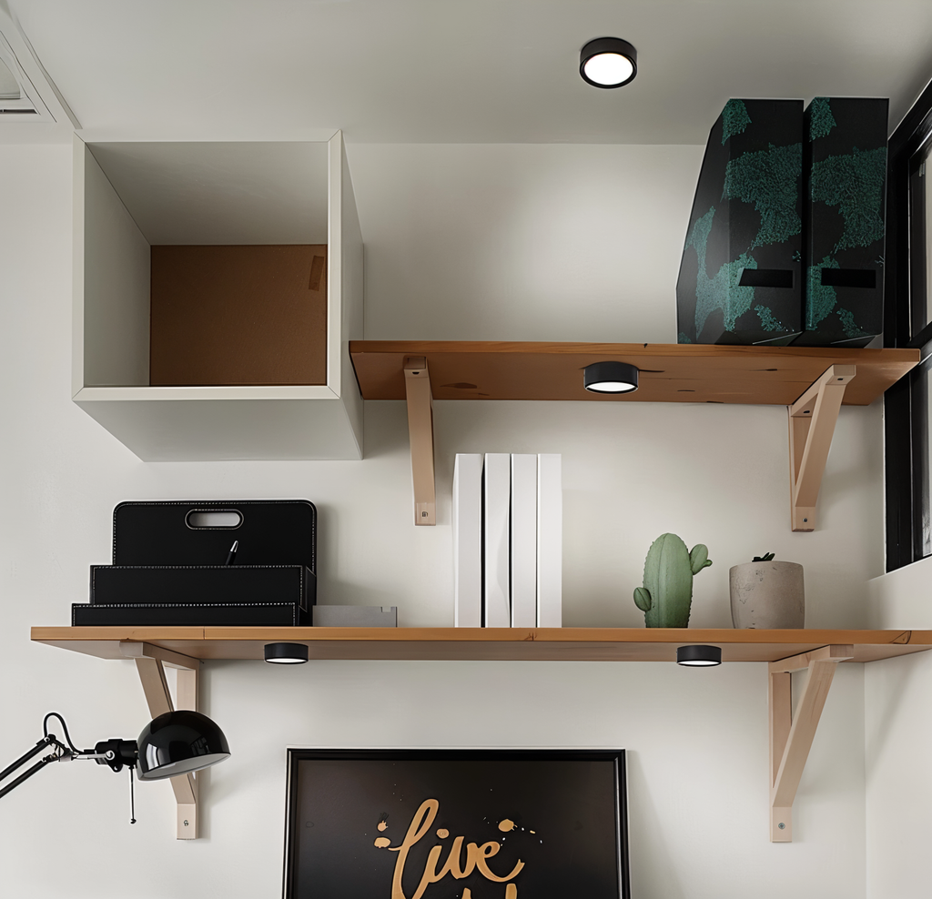 Modern Iron Flush Mount Ceiling Light