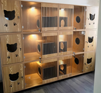 Modern Iron Flush Mount Ceiling Light