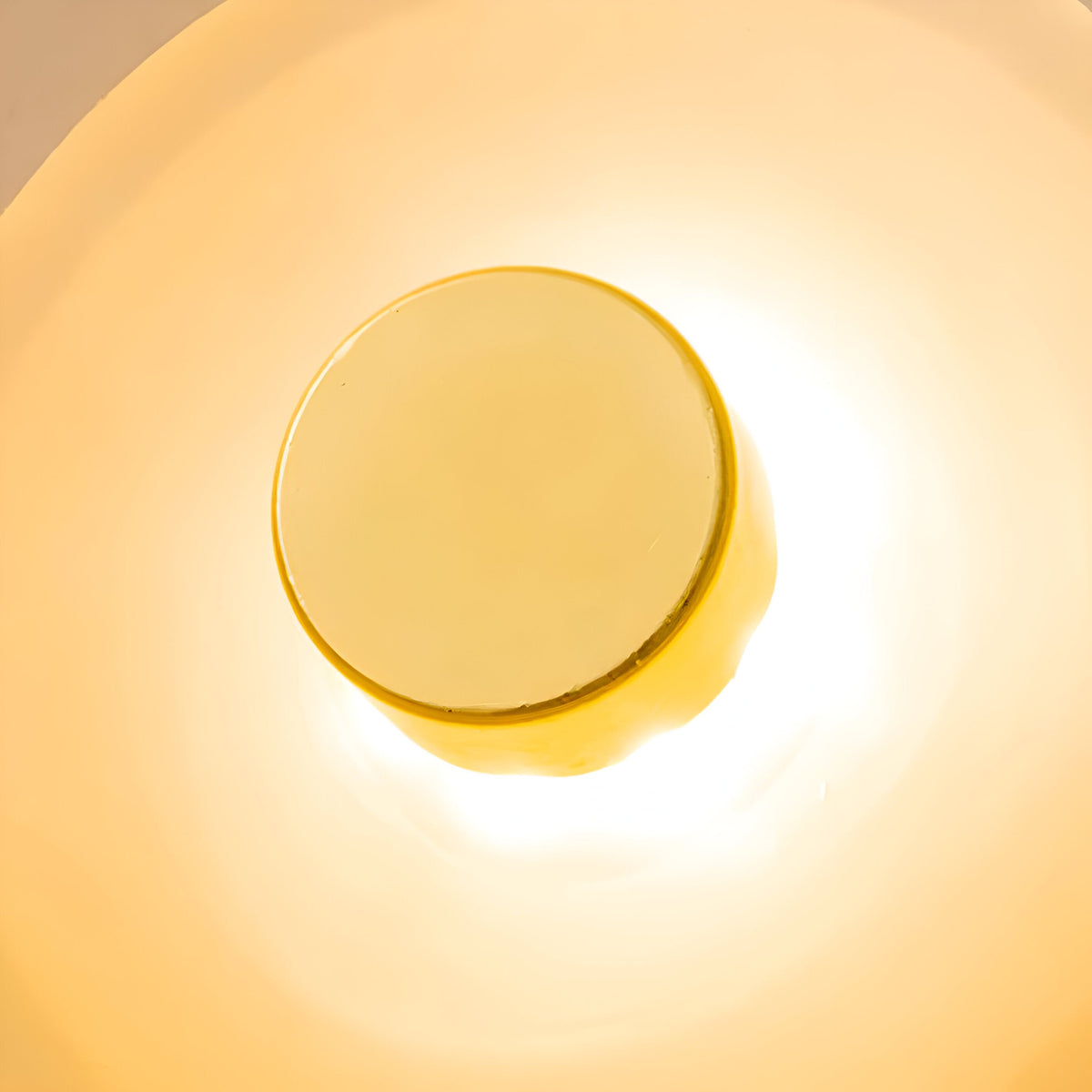Nordic Curved Glass Wall Sconce LED Light With Sculpted Glass Shade