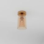 Modern Glass Ceiling Light With Hardwired LED Light
