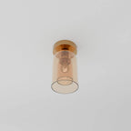 Modern Glass Ceiling Light With Hardwired LED Light