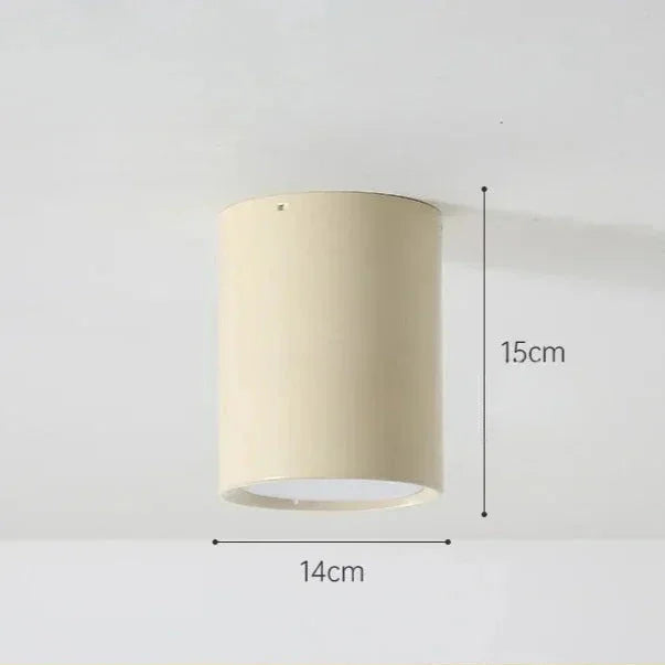 Modern Metal Flush Mount Ceiling Light