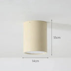 Modern Metal Flush Mount Ceiling Light