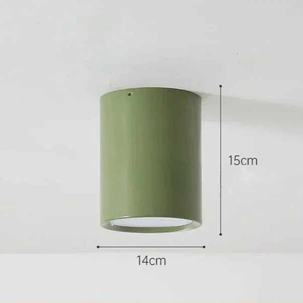 Modern Metal Flush Mount Ceiling Light