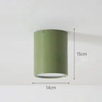 Modern Metal Flush Mount Ceiling Light