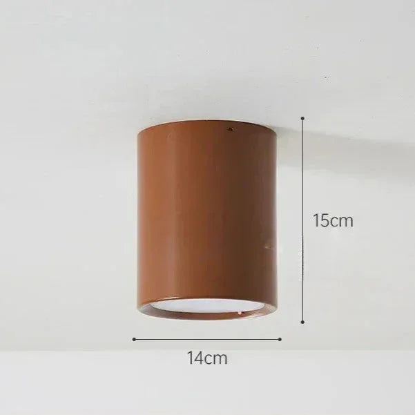 Modern Metal Flush Mount Ceiling Light