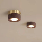 Modern Wood Flush Mount Ceiling Light