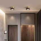 Modern Wood Flush Mount Ceiling Light