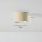 Modern Metal Flush Mount Ceiling Light