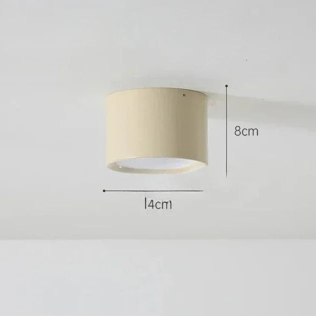 Modern Metal Flush Mount Ceiling Light