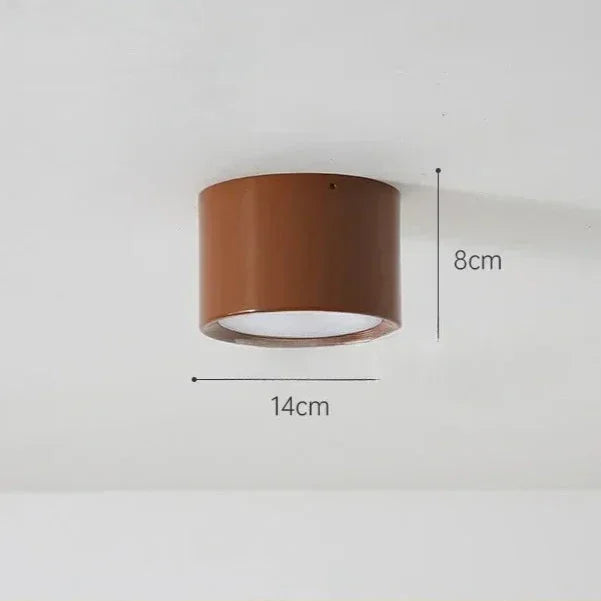 Modern Metal Flush Mount Ceiling Light