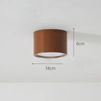 Modern Metal Flush Mount Ceiling Light