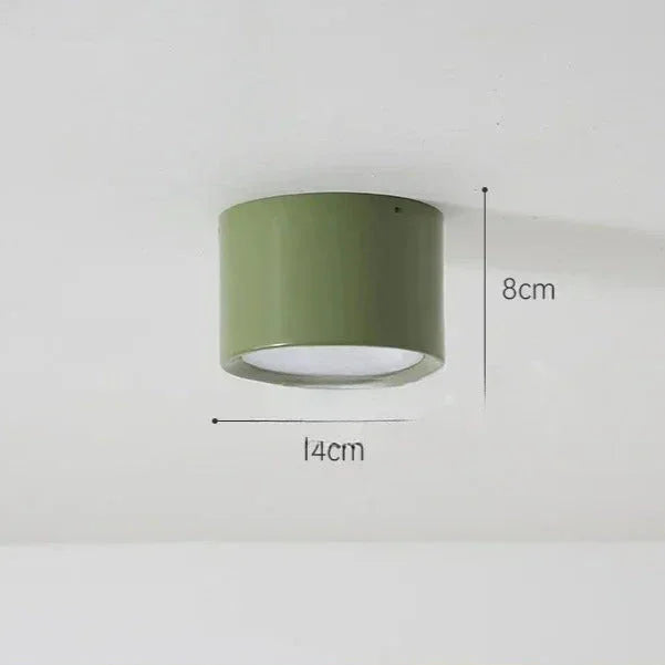 Modern Metal Flush Mount Ceiling Light